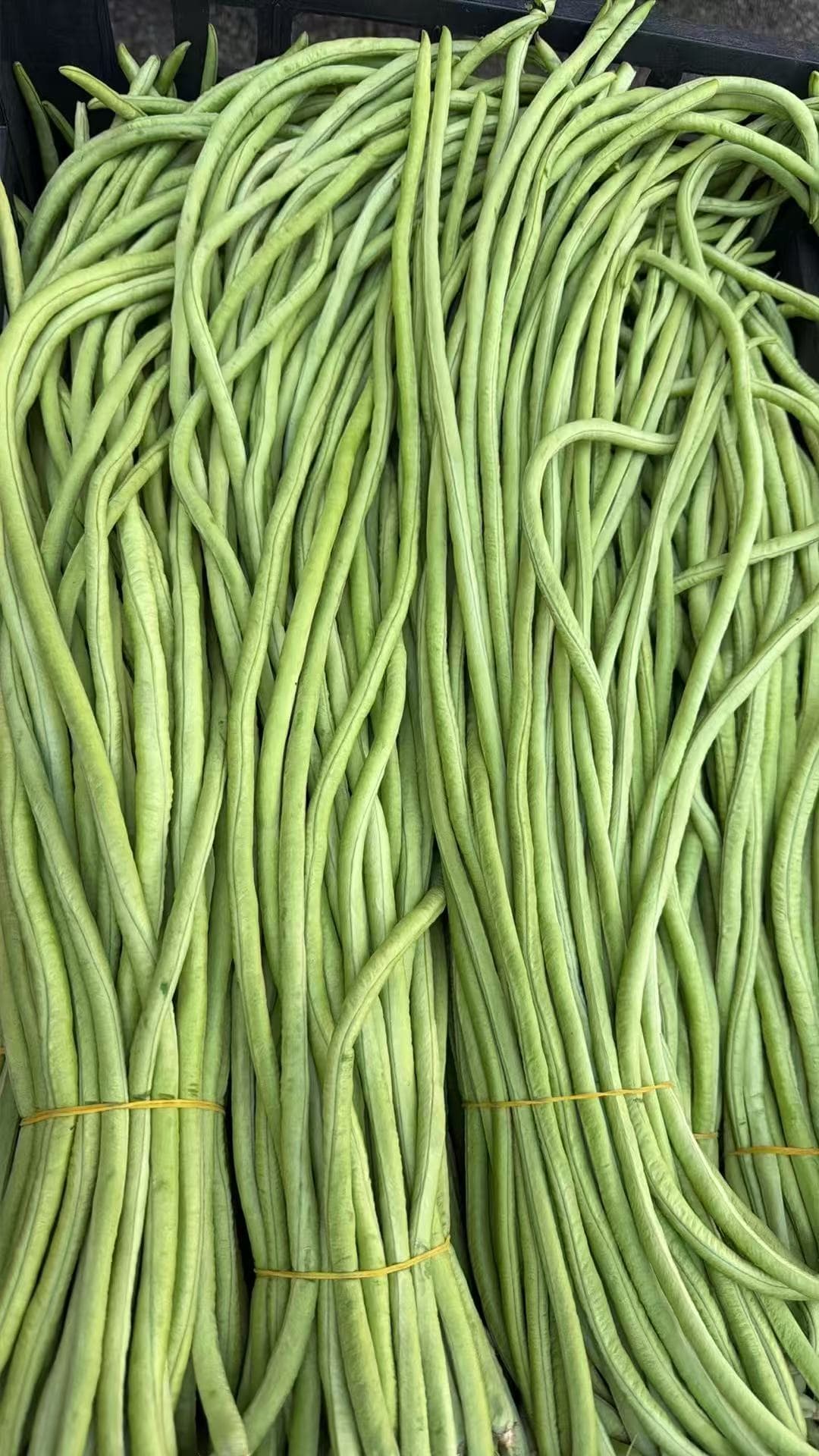 Lange Boon (长豆) 1kg