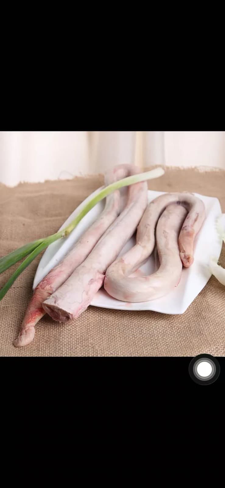 Bevroren Runderpenis (牛鞭) per kg