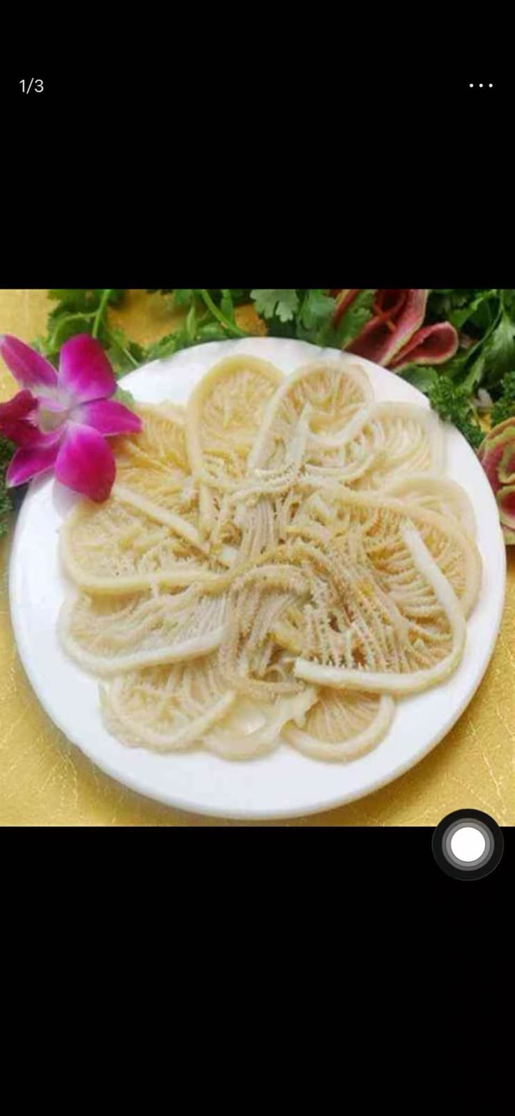 Bevroren Rundermaag (牛伯叶) 800g